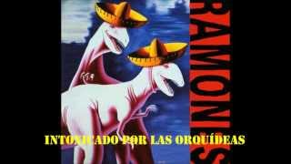 Ramones- Born To Die In Berlin- Subtitulada