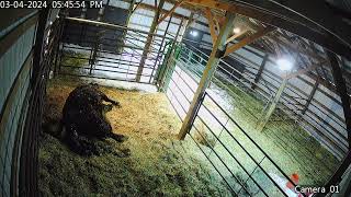 20240304172505 801 hnvr