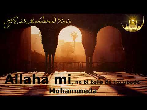 ALLAHA MI, NE BIH ŽELIO DA TRN UBODE MUHAMMEDA - Hfz Dr. Muhamed Porča