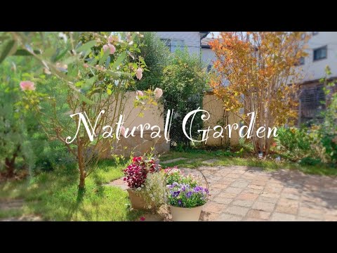  15 のトレンディなデザイン アイデアによる現代的な庭園とオリジナルの装飾  庭園