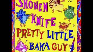 Shonen Knife - Summertime Boogie
