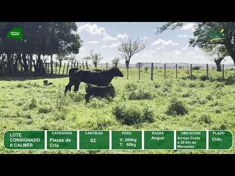 Video del lote L0-000862
