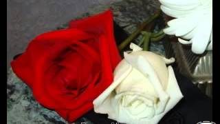 Download lagu Lambadi songs mp3 Download lagu Lambadi songs mp3