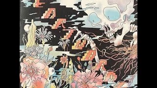 The Shins - The Fear