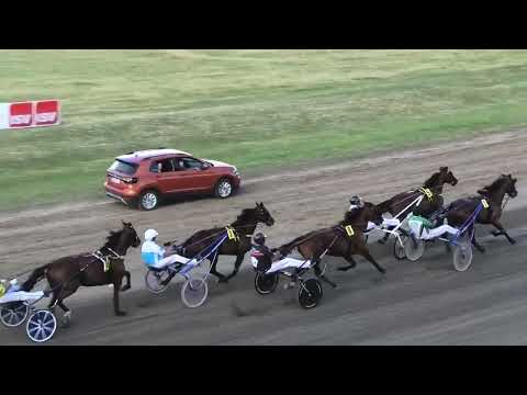 Trka "Subotička milja" 26.6.2022. Amy Del Duomo - Pribić Vladimir