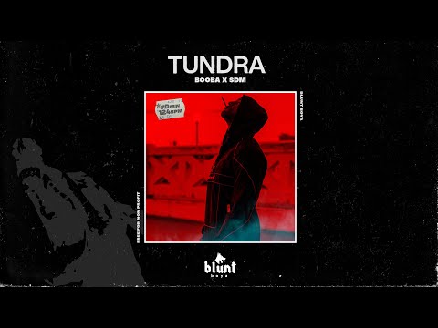 [SOLD] Booba x SDM Type Beat 2023 "TUNDRA"