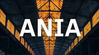 The Returners - Ania (audio)