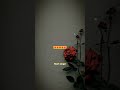 Jindagi Meri Hai Par Apka Hona Jaroori Hai Whatsapp Status Sad Status Heart Singer
