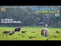 Edapalayam Watch Tower Ep 1 Periyar Tiger Reserve Inside The Forest With Wild Animals