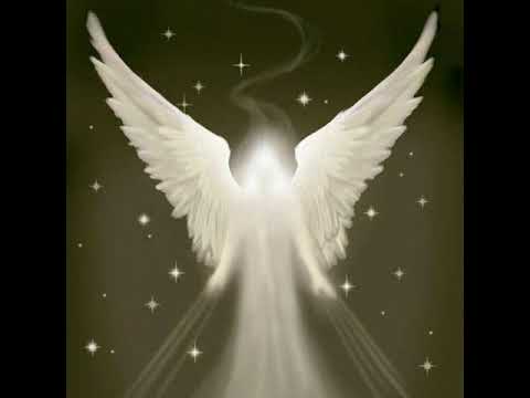 Angel's - Dutch Siga