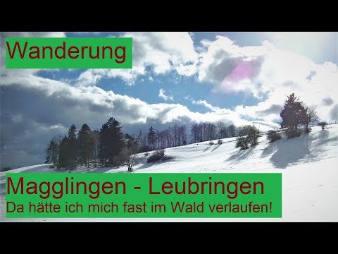 Wanderung: Magglingen - Leubringen, fast im Wald verlaufen! │DEUTSCH #027
