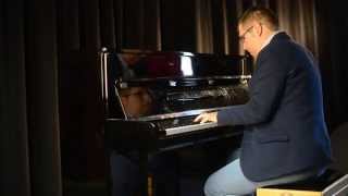 Avengers-Age of Ultron: ,,Heroes'' (piano cover by Roland Hegedus)