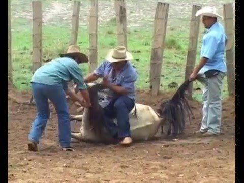 Carlos Rico El Despido Del Mensual