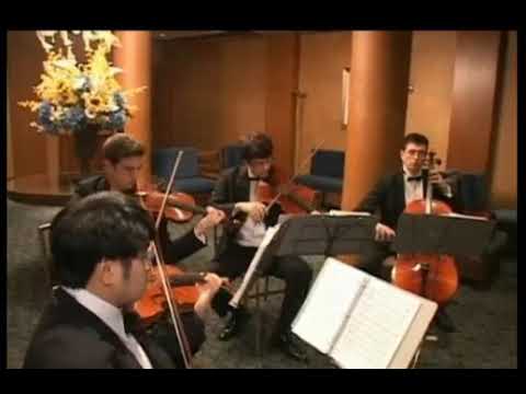 Promotional video thumbnail 1 for West Islip String Ensemble