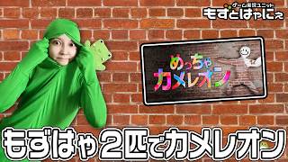 🐤#めっちゃカメレオン🐸もずはゃ２匹でかくれんぼチャレンジしてみよう！【#もずとはゃにぇ】