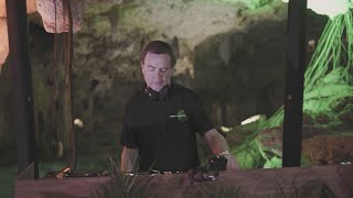 Nick Warren - Live @ Beats of Nature & The Soundgarden x Tulum, Mexico 2021