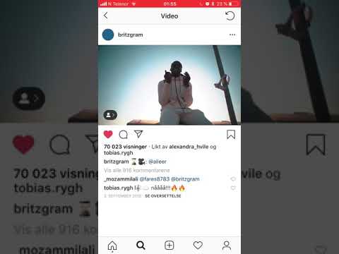 Britz taste fresstyle