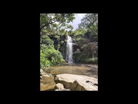 Latidos de Agua y Montaña: Corredores de Vida entre Usme, Envigado y Monquirá.