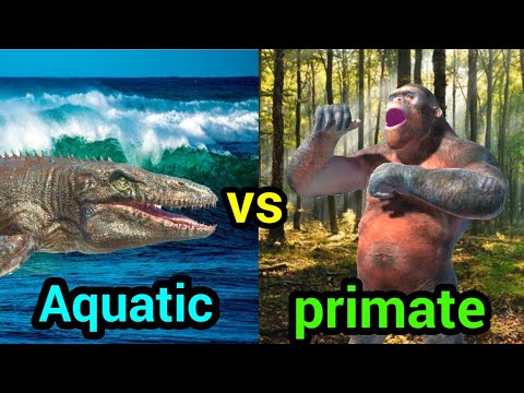 1 VS 1 AQUATICS VS MUTANT PRIMATES animal revolt battle simulator FACTION BATTLE HEALTH BARS