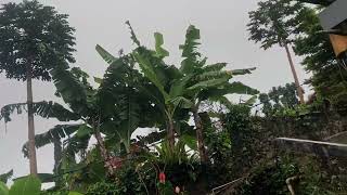 Download lagu Villa hacienda elita - puncak bogor mp3