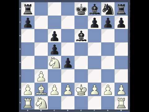 FIDE WCC 2012 Anand Gelfand Game 10 Analysis