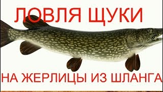 Жерлицы на щуку своими руками из шланга