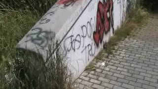 StazioneferroviariadiCampoleone:Degradoevandalismonelvialepedonalecheportaalparcheggio