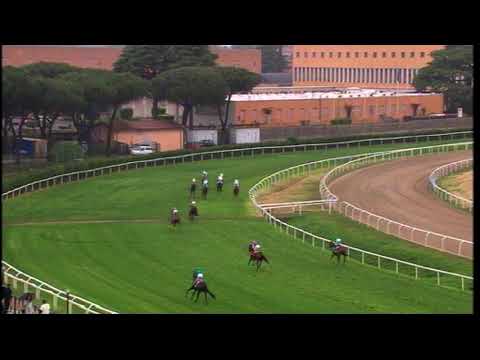 01/05/2023 - corsa 6 - premio REGINA ELENA ITALIAN 1000 GUINEAS - TRIS