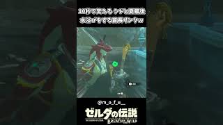 【ブレワイ】夏最後の水浴びをする首長リンクｗｗ【ゼルダの伝説 ブレス オブ ザ ワイルド】