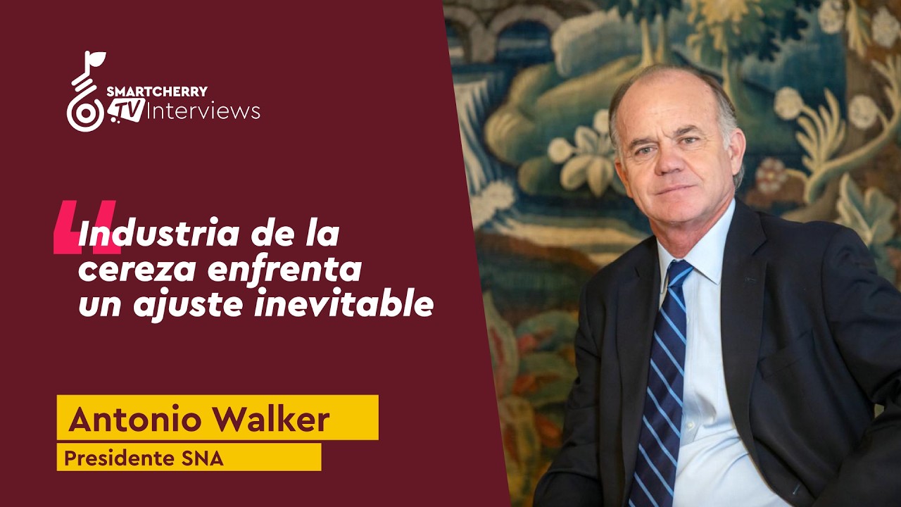 Antonio Walker advierte nuevo escenario para la cereza: “Los precios de oro no volverán”