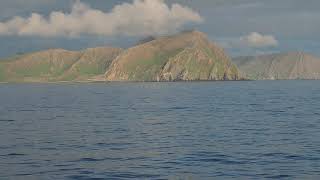 Top 5 MAIS POPULARES do youtube