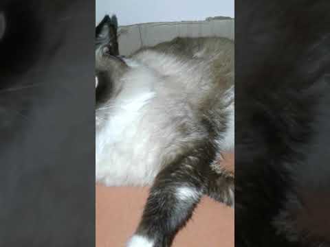 Mirtingo me cree loco