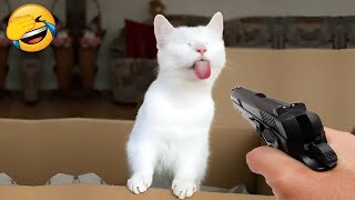 Funniest Animals 🤣 Hilarious Cats and Dogs 2024 😹🐶 Part 20