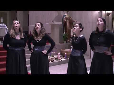 klapa Obilanca , Zagreb  :  Bona sera šjor padrone