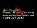 Red Dragonfly Logo 2009