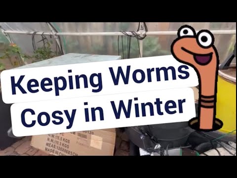 Keeping Worms Cosy in Winter
