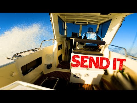 Coral Bay : Wild Seas : Big Fish