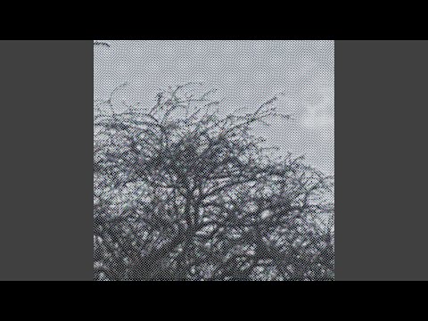 little boy / voice in your head