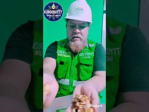 SEMILLAS DE DURAZNO BLANQUILLO EN EUROFRUTTT