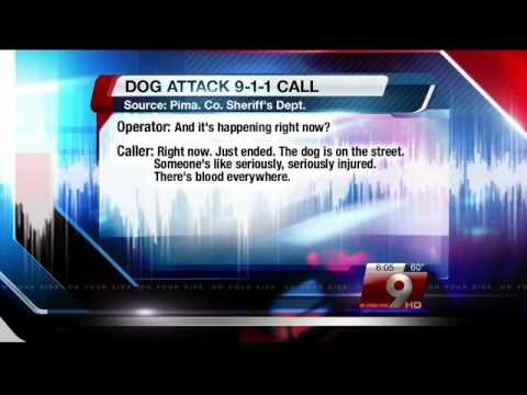 9-1-1 caller: "blood everywhere" at scene of dog attack