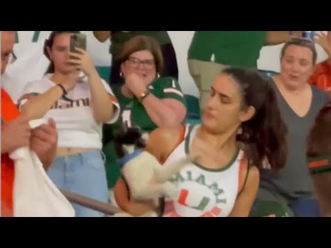 Fans react to watching cat fall from upper deck of Hard Rock Stadium