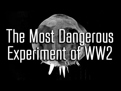 Demon Core: The Unused Third Atomic Bomb of WW2