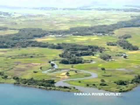 maranao song: dalomabi ka lalag