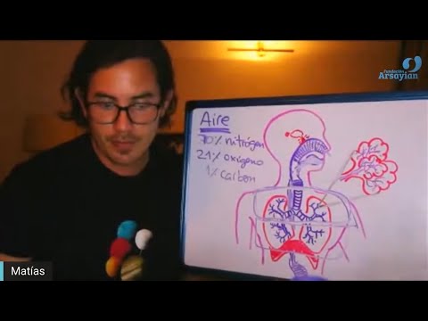 Day 293 - IMMUNE-RESPIRATORY - Matias De Stefano - Spanish edition