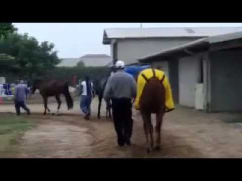 Lady Fairbanks After Being Gate Approved at Hollywood 6/23