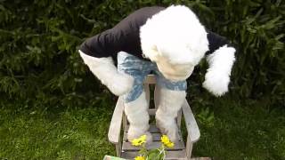 Start Next - Irie Rocker Allstars - Everyday Good