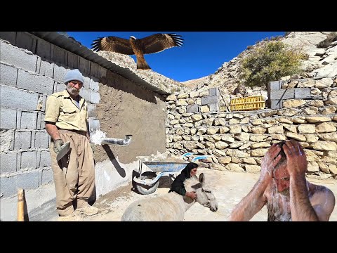 The story of Jahangir's nomadic life: Building a shelter against the intense autumn cold