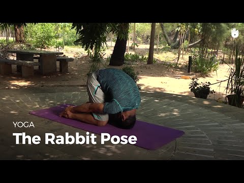 Learn the Rabbit Pose - Shashankasana | Yoga