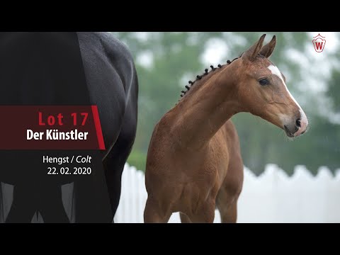 17 Der Künstler Hengst v. D'Avie - Aljano