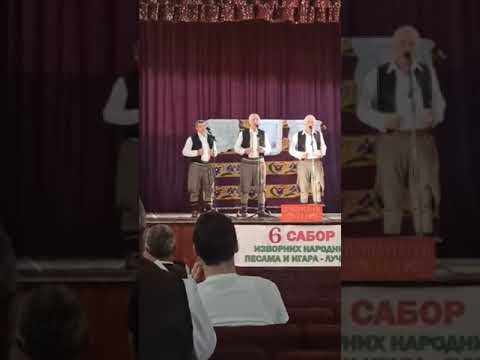 Pevacka grupa SLOZNA BRACA--Rogacica__ZASPALA DEVOJKA